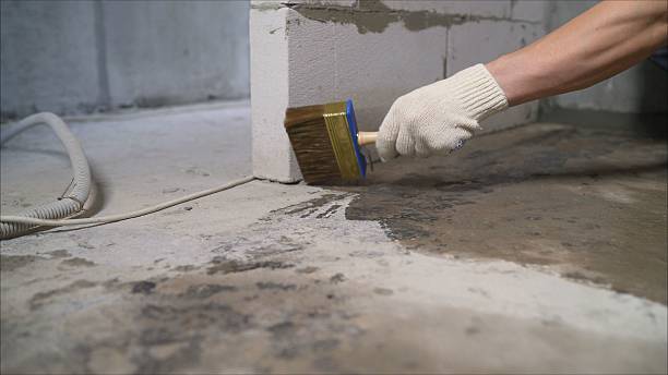 SJ Waterproofing Pros Waterproofing coverage map for Allen Park, MI and surrounding area